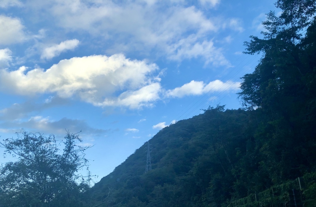 55C229AB-A62A-4269-8F96-394C653D5673_1_105_c.jpeg