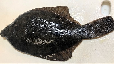 沖堤防 (3).jpg