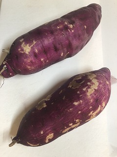 芋掘りさつまいも.jpg